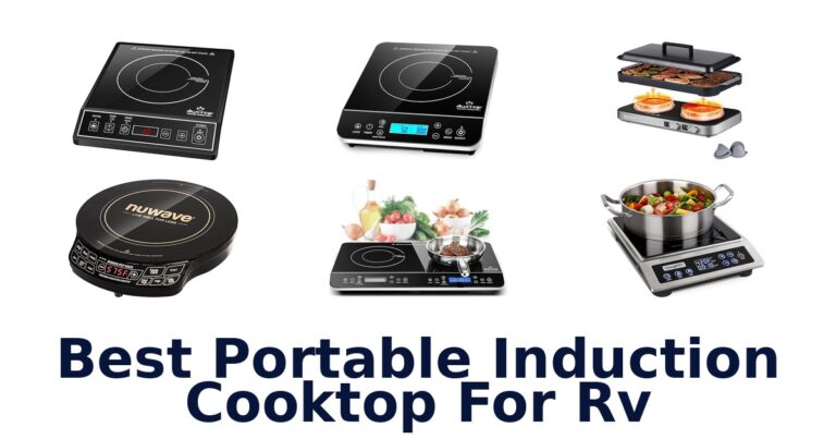 best portable induction cooktop for rv