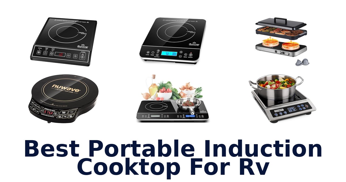 best portable induction cooktop for rv