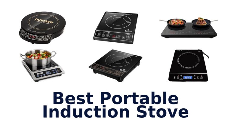 best portable induction stove