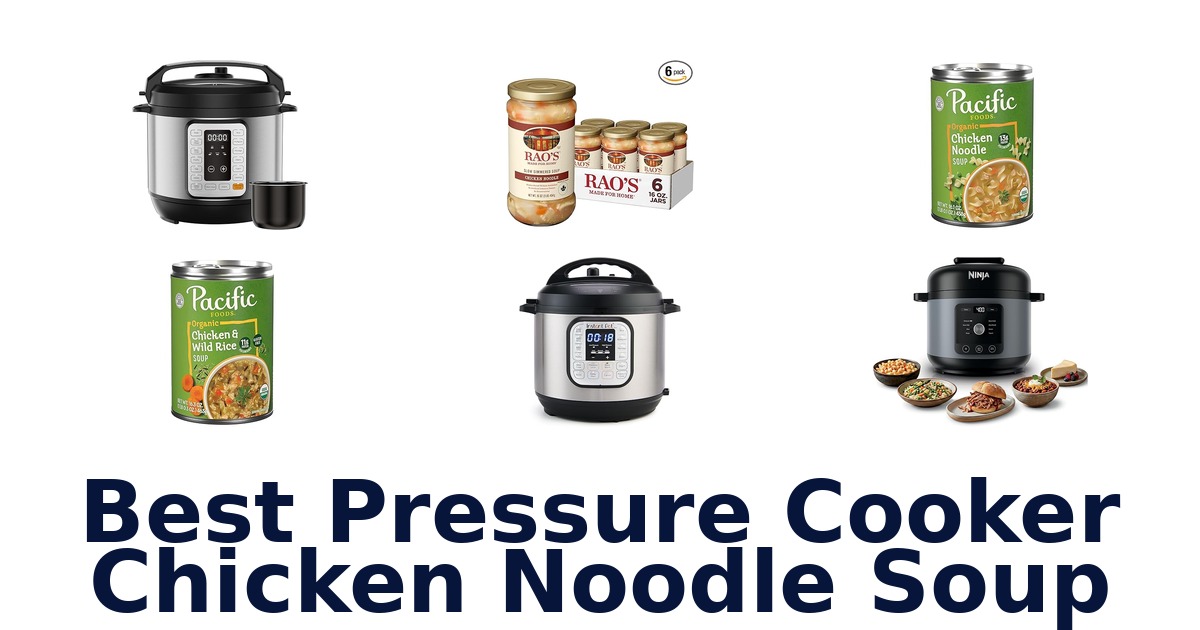 best pressure cooker chicken noodle soup