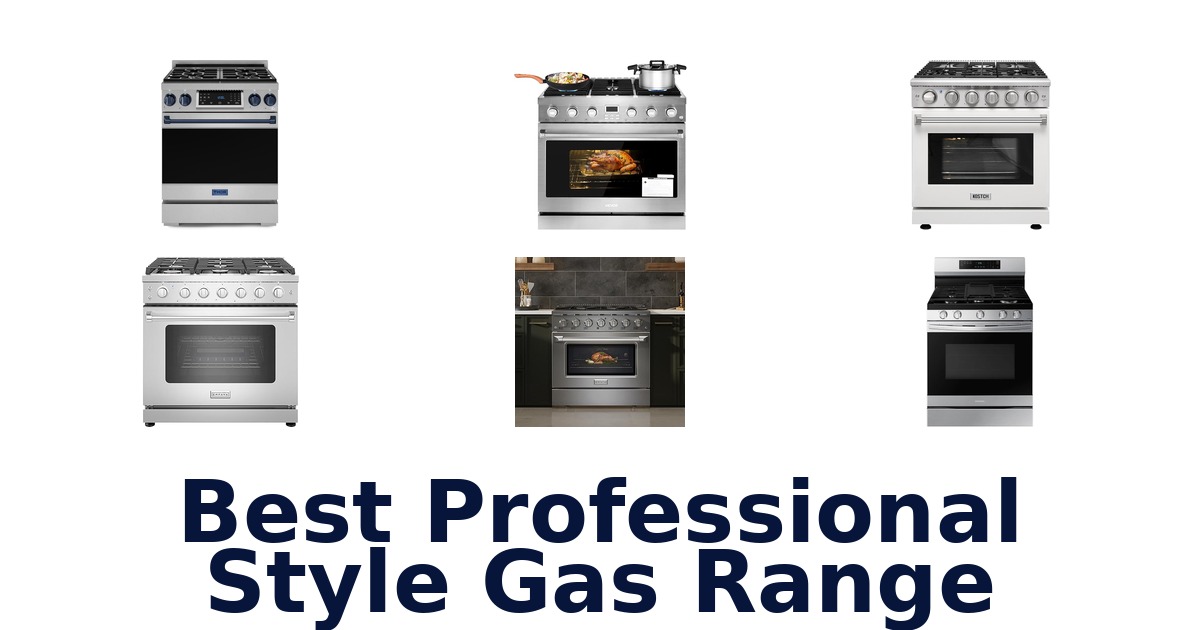 best professional style gas range