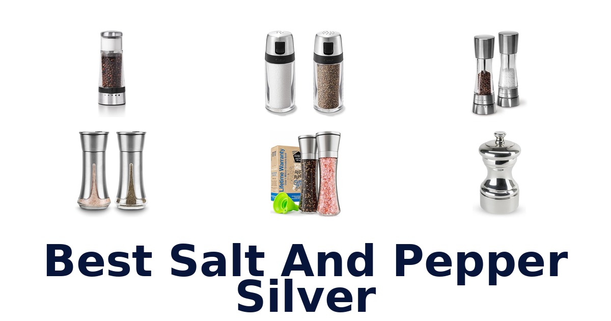 best salt and pepper silver