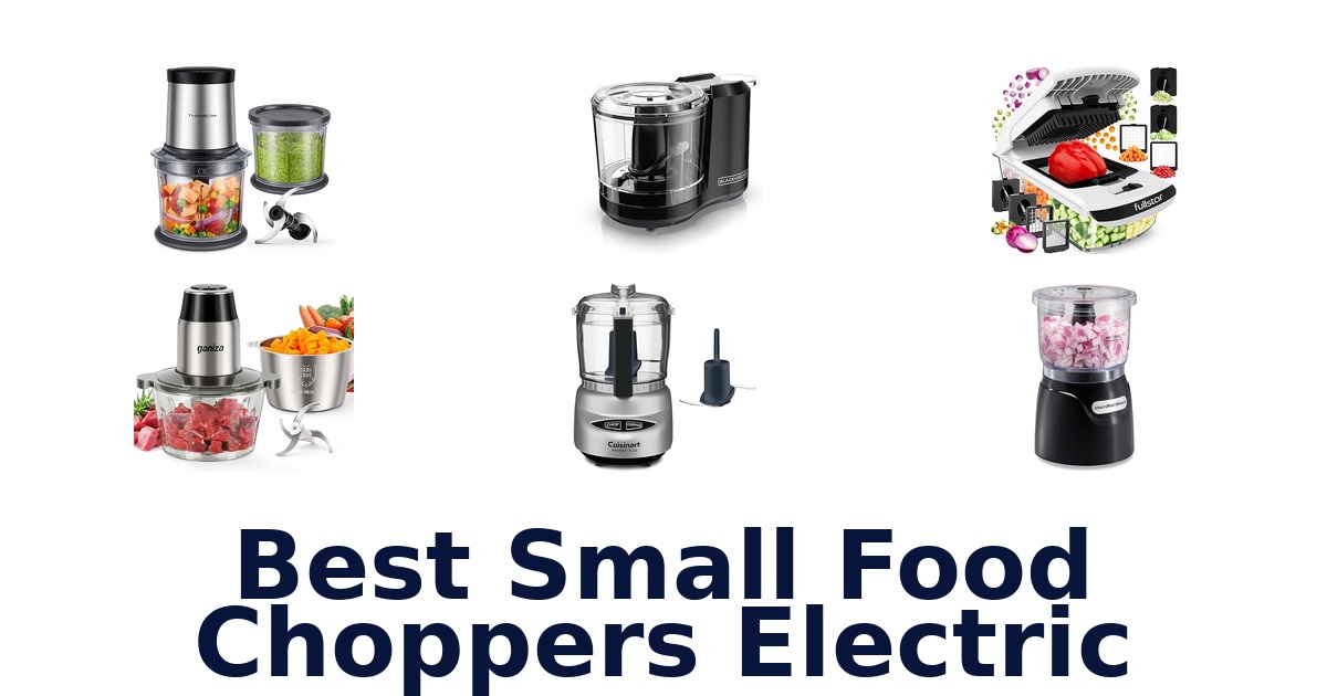 best small food choppers electric