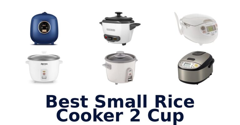 best small rice cooker 2 cup