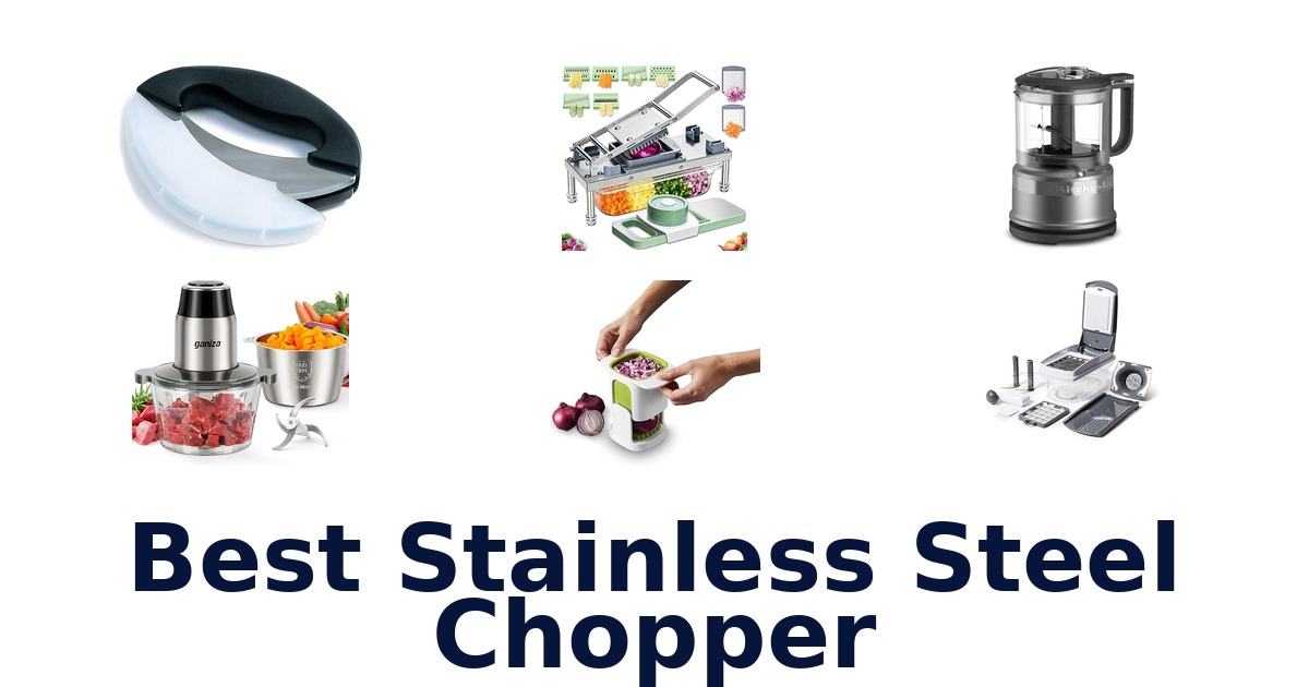 best stainless steel chopper