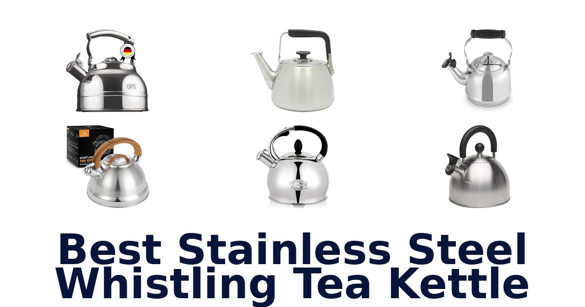 best stainless steel whistling tea kettle