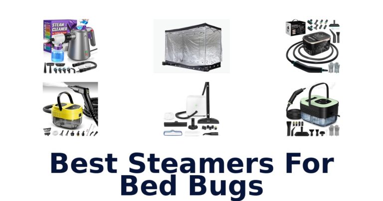best steamers for bed bugs