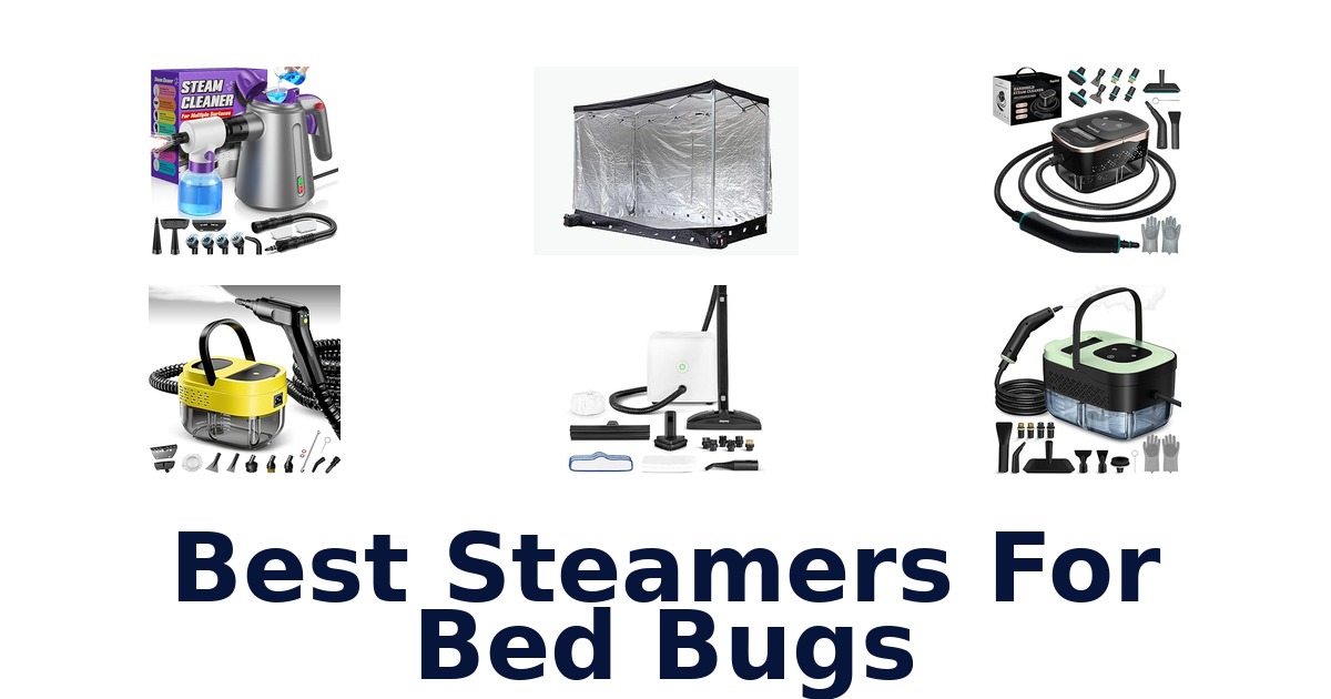 best steamers for bed bugs