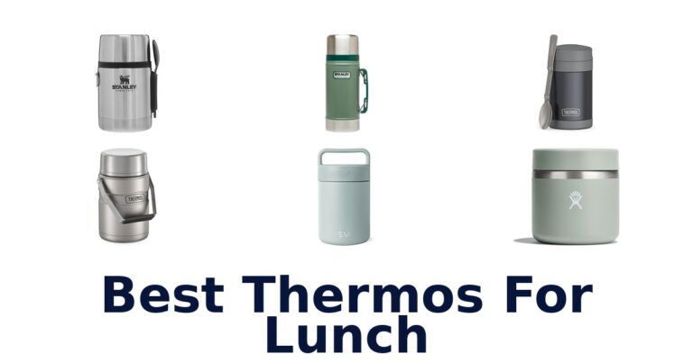 best thermos for lunch