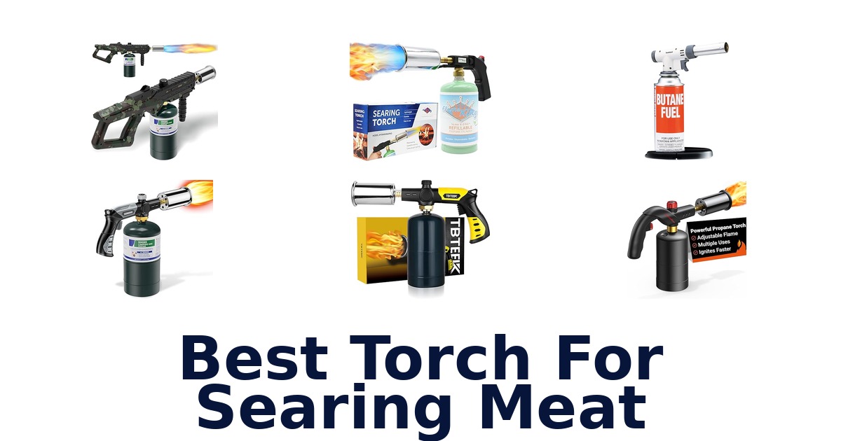 best torch for searing meat