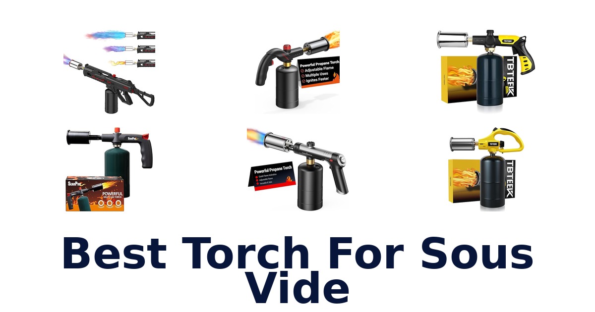 best torch for sous vide