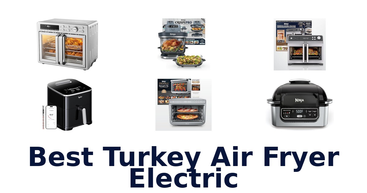 best turkey air fryer electric