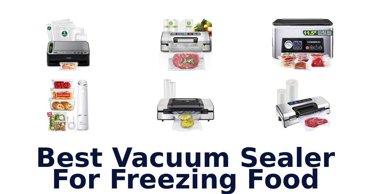 best vacuum sealer for freezing food