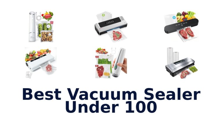 best vacuum sealer under 100