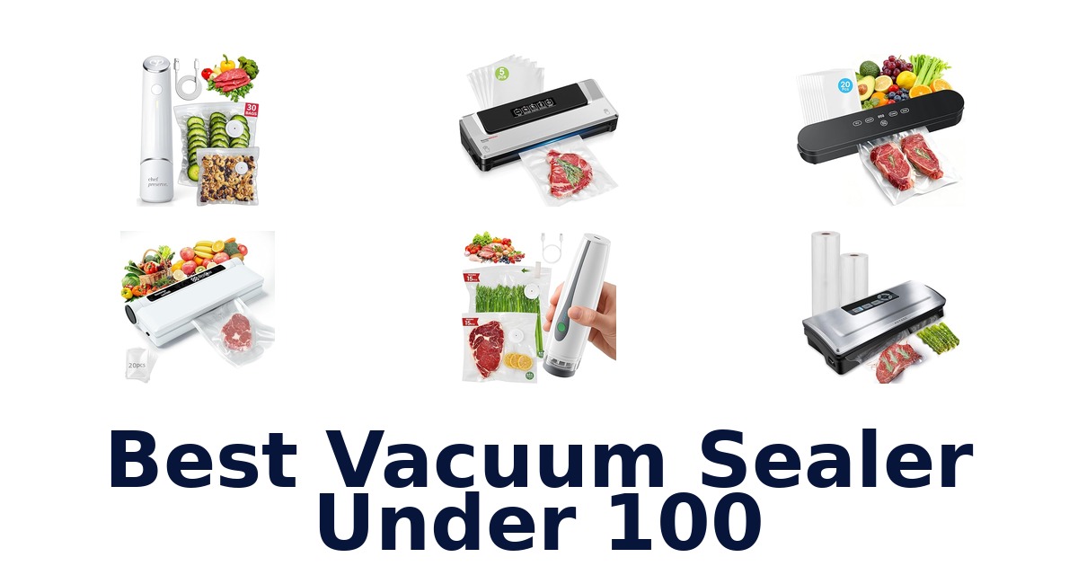 best vacuum sealer under 100
