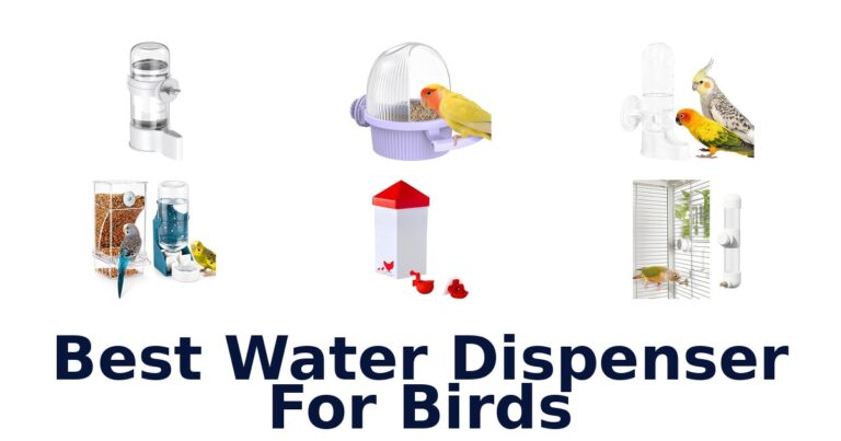 best water dispenser for birds