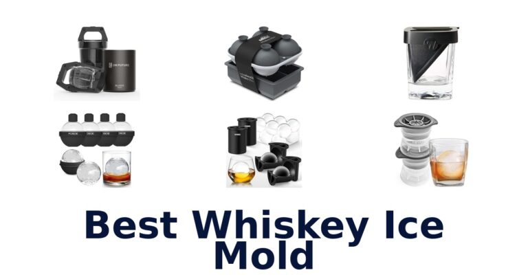 best whiskey ice mold