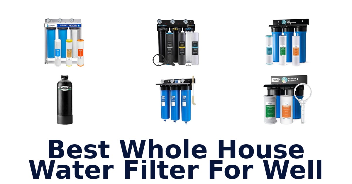 best whole house water filter for well