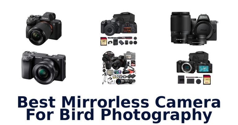 Best Mirrorless Camera For Bird Photography