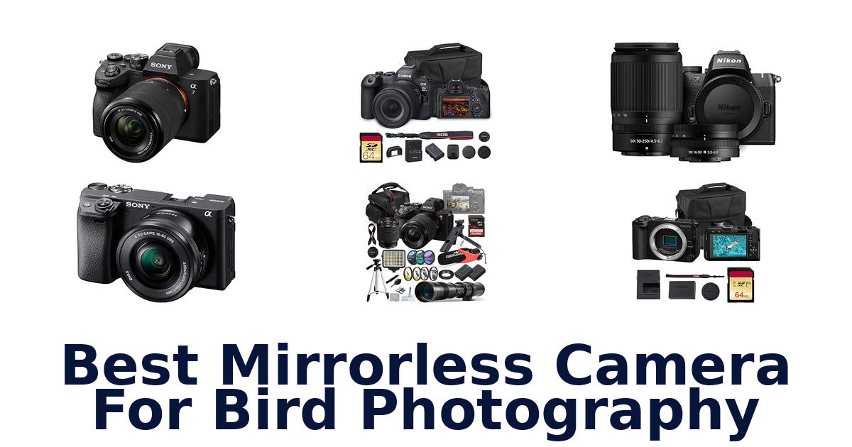 Best Mirrorless Camera For Bird Photography