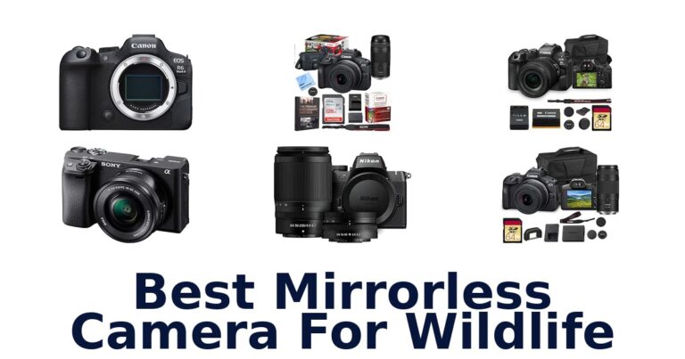 Best Mirrorless Camera For Wildlife