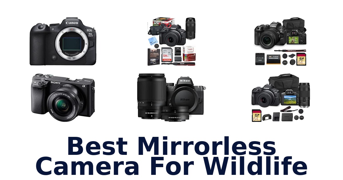 Best Mirrorless Camera For Wildlife