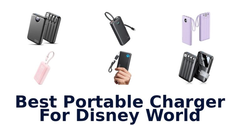 Best Portable Charger For Disney World
