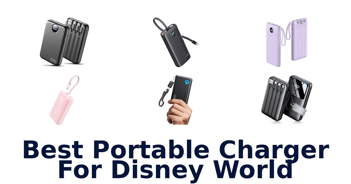 Best Portable Charger For Disney World