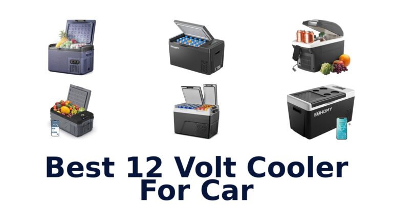 Best 12 Volt Cooler For Car