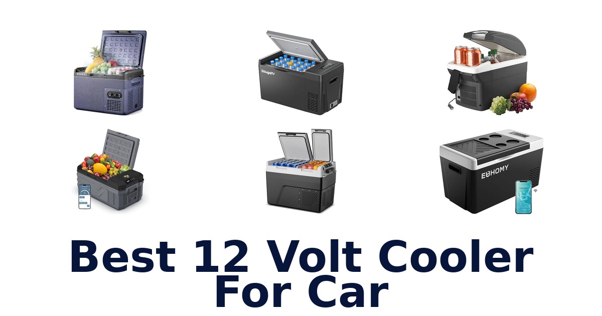 Best 12 Volt Cooler For Car