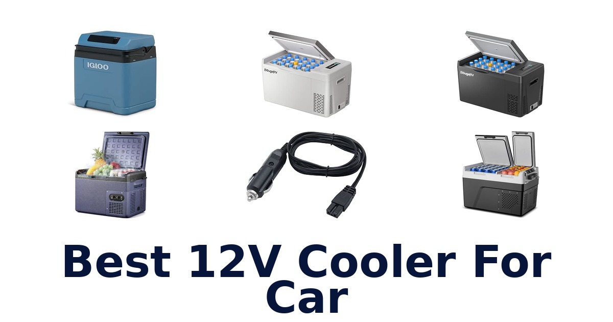 Best 12V Cooler For Car