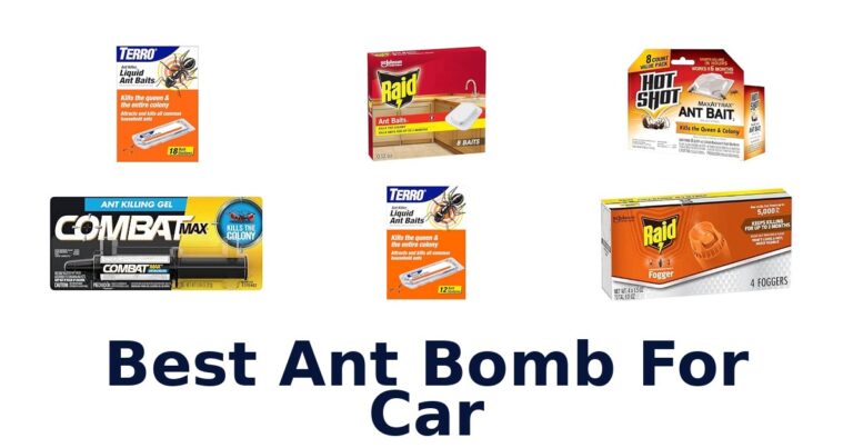 Best Ant Bomb For Car
