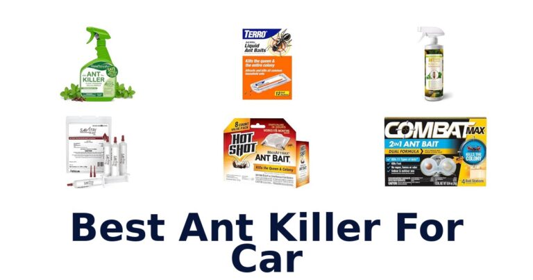 Best Ant Killer For Car