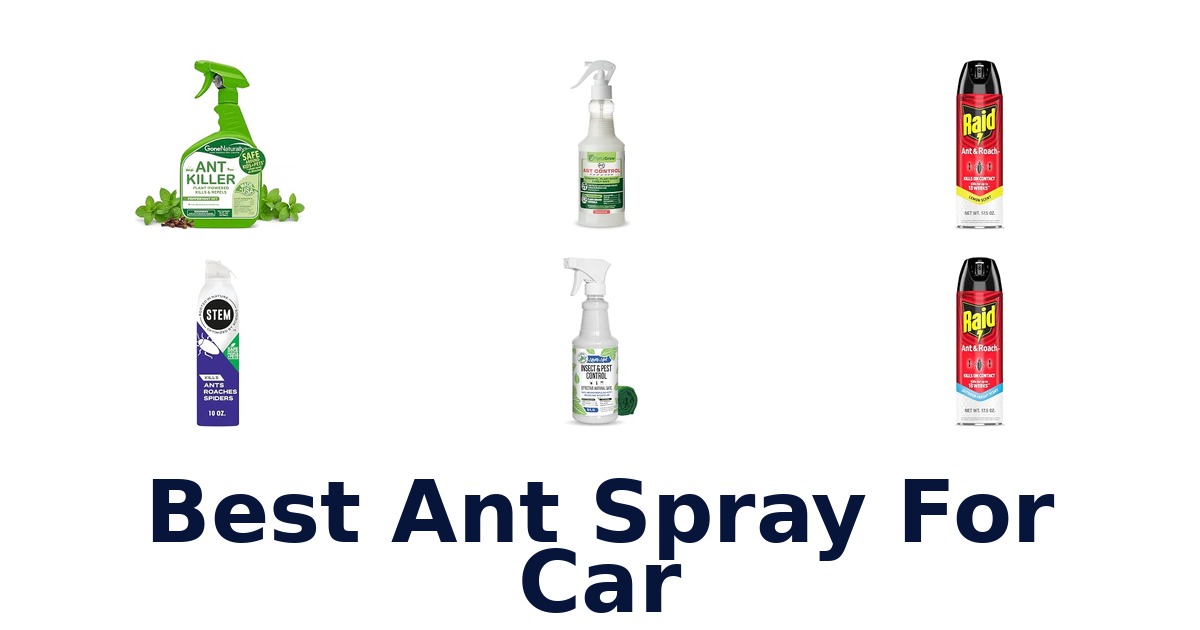 Best Ant Spray For Car