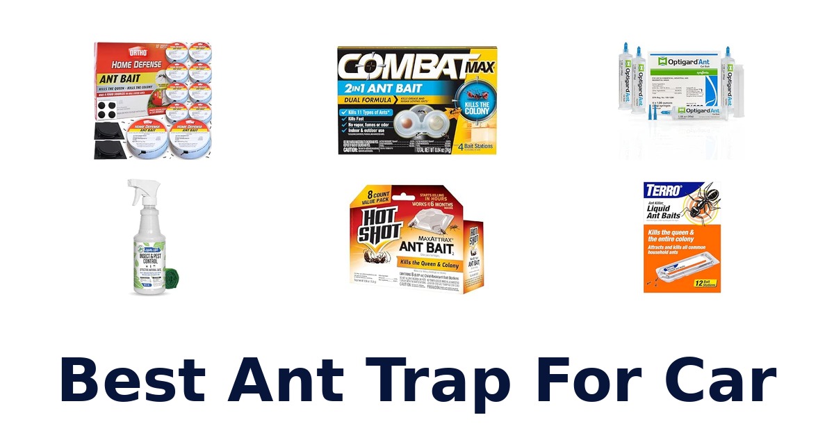 Best Ant Trap For Car