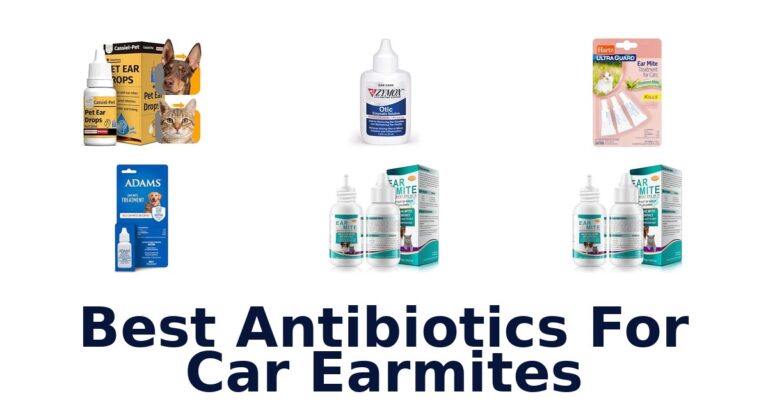 Best Antibiotics For Car Earmites
