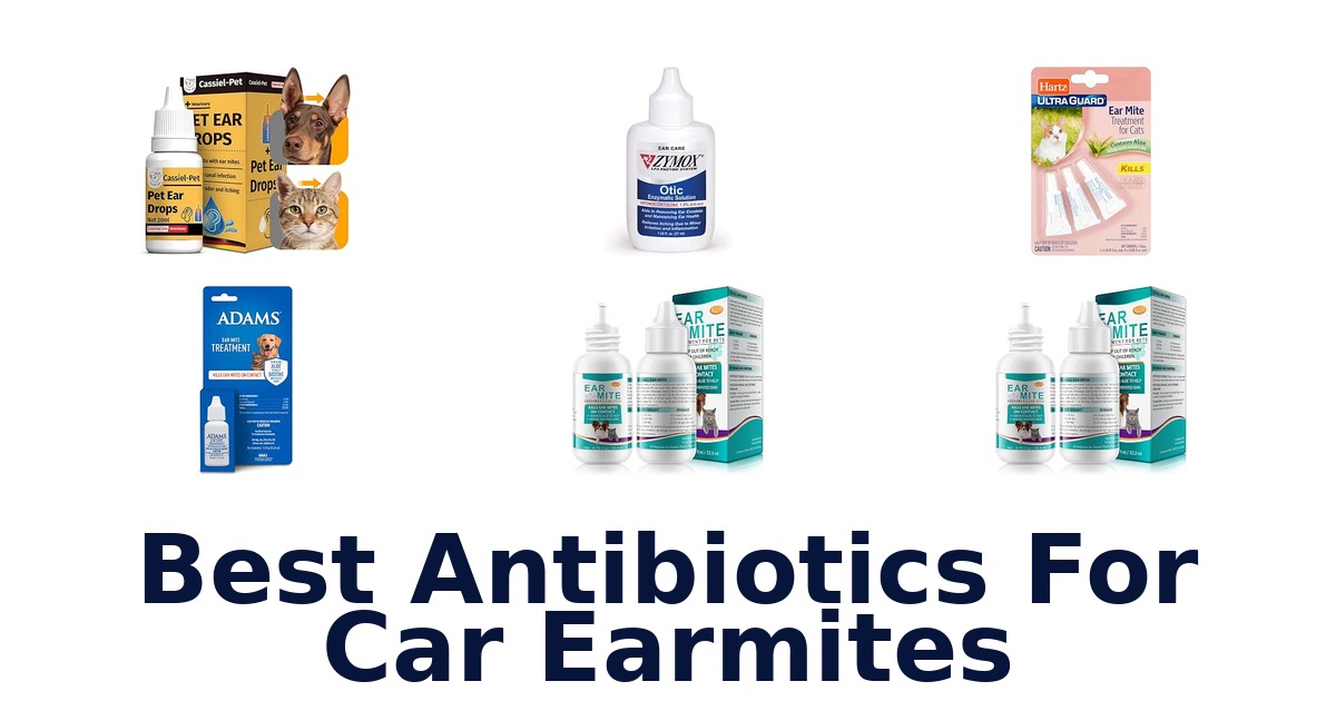 Best Antibiotics For Car Earmites