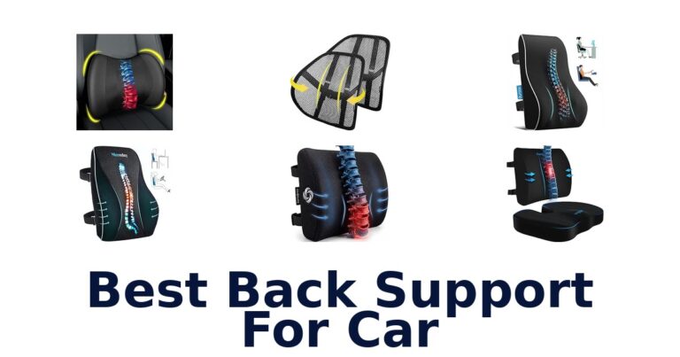 Best Back Support For Car