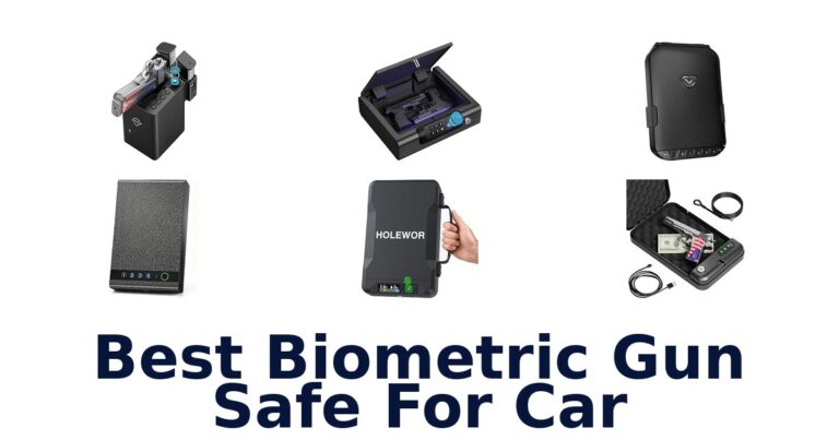 Best Biometric Gun Safe For Car