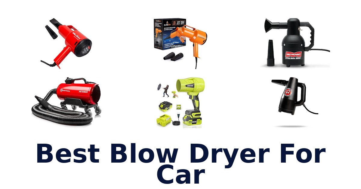Best Blow Dryer For Car