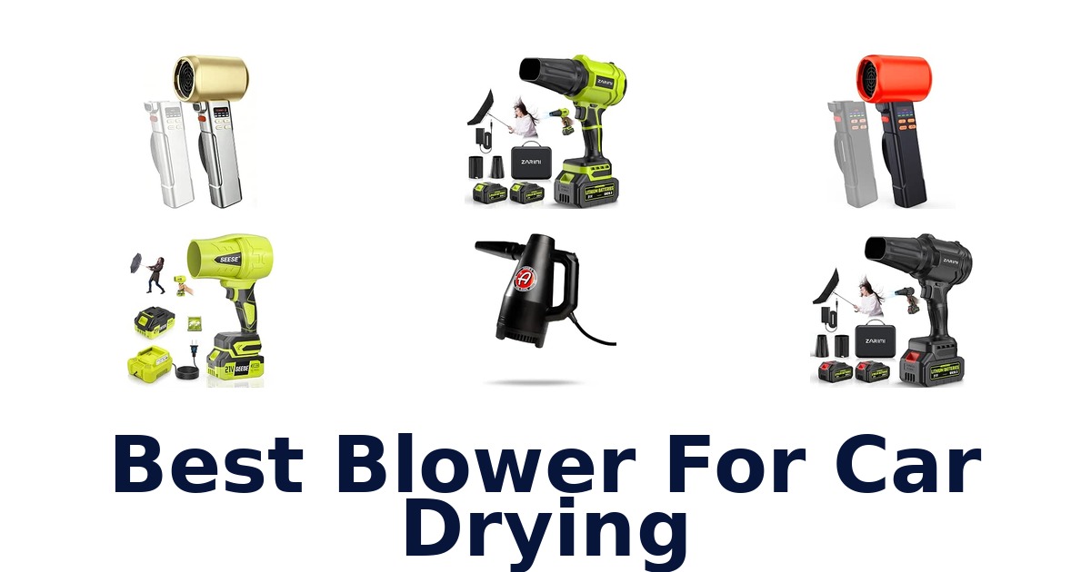 Best Blower For Car Drying