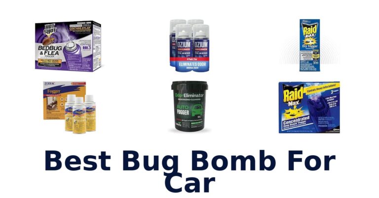 Best Bug Bomb For Car