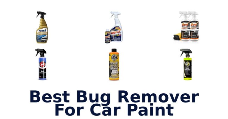Best Bug Remover For Car Paint