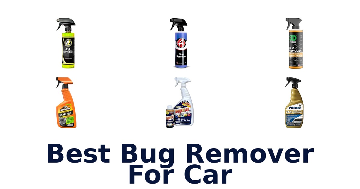 Best Bug Remover For Car