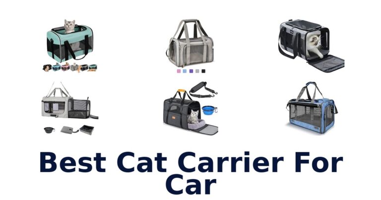 Best Cat Carrier For Car
