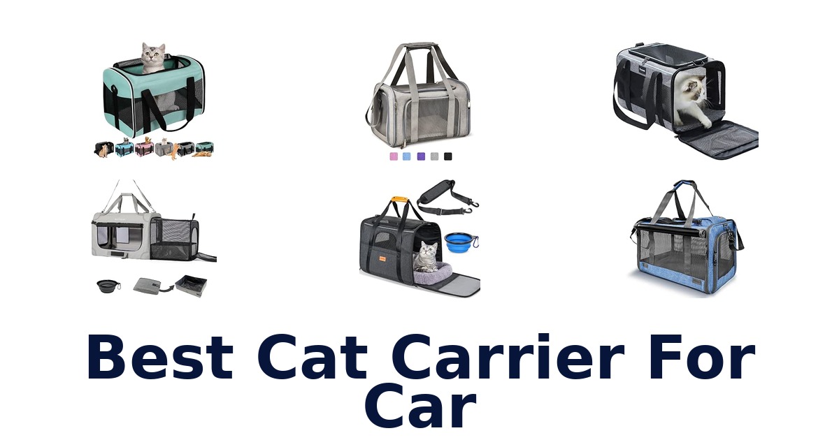 Best Cat Carrier For Car