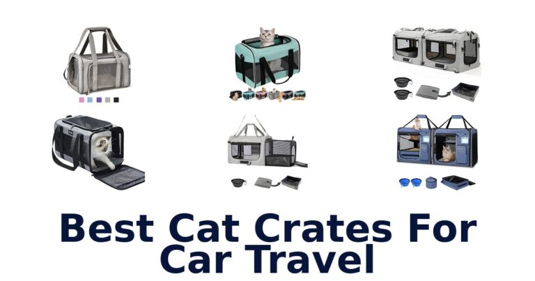 Best Cat Crates For Car Travel