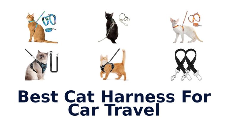 Best Cat Harness For Car Travel