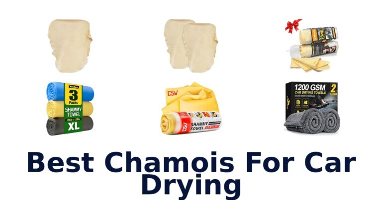 Best Chamois For Car Drying