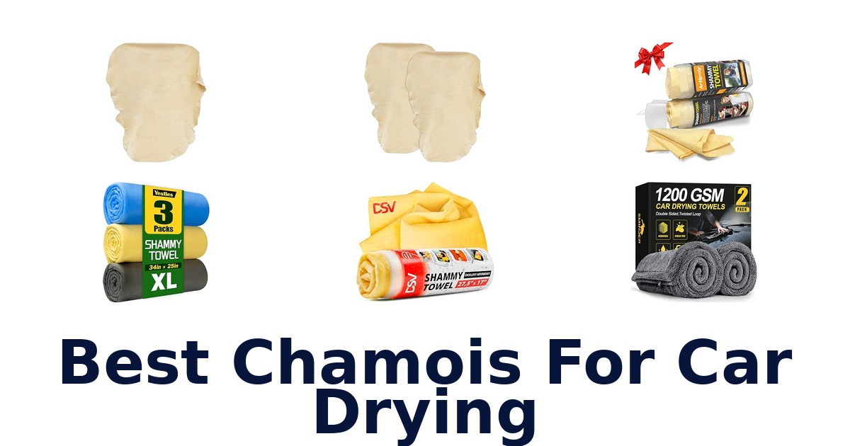Best Chamois For Car Drying
